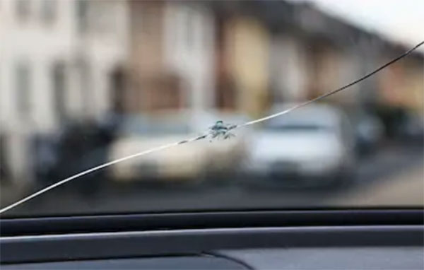 windshield replacement austin tx