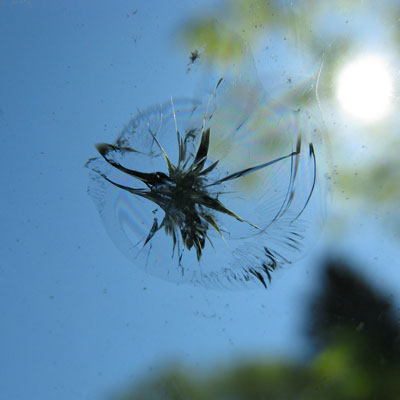 cracked windshield auto glass repair in austin